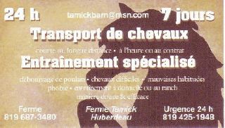 PENSION POUR CHEVAUX EXTERIEURE