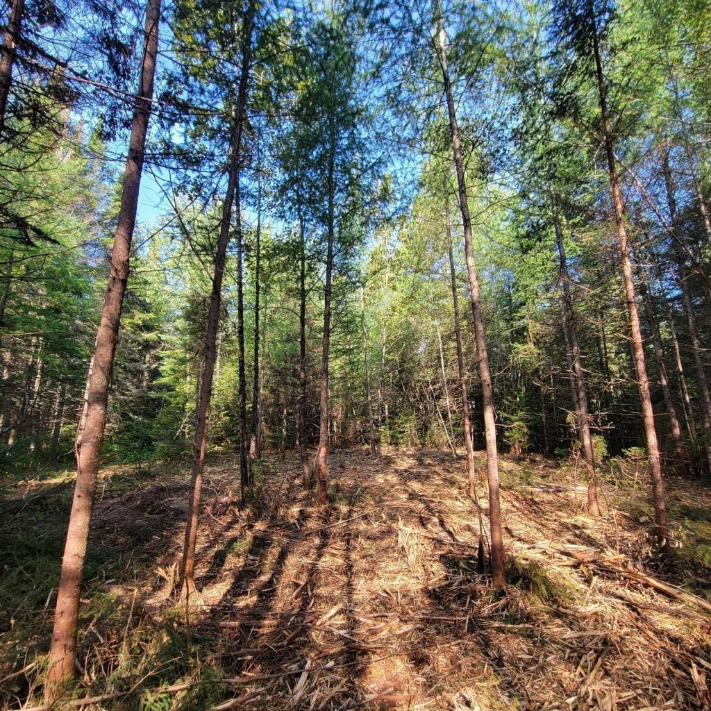 23,125 sqft land, Acces navigable lake, Lac-superieur