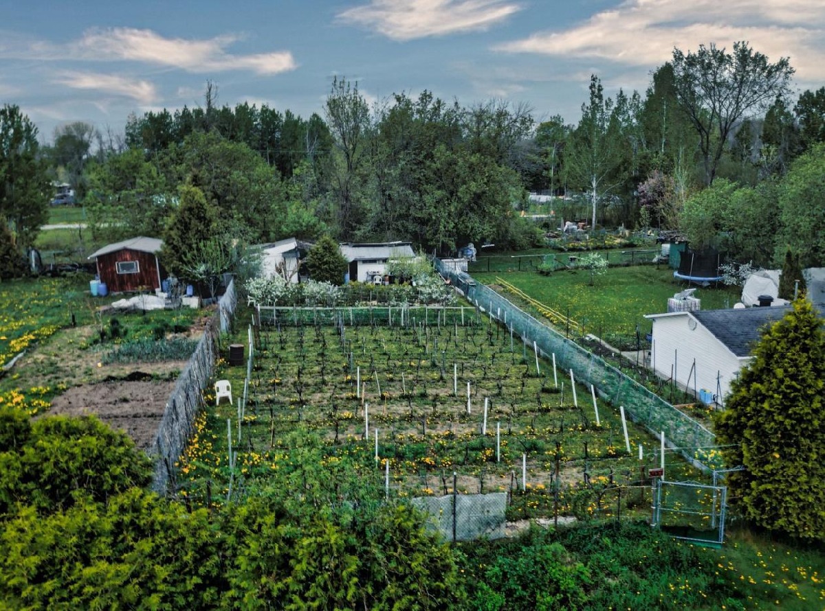 6,500 sq ft land for agricultural or livestock in Auteuil