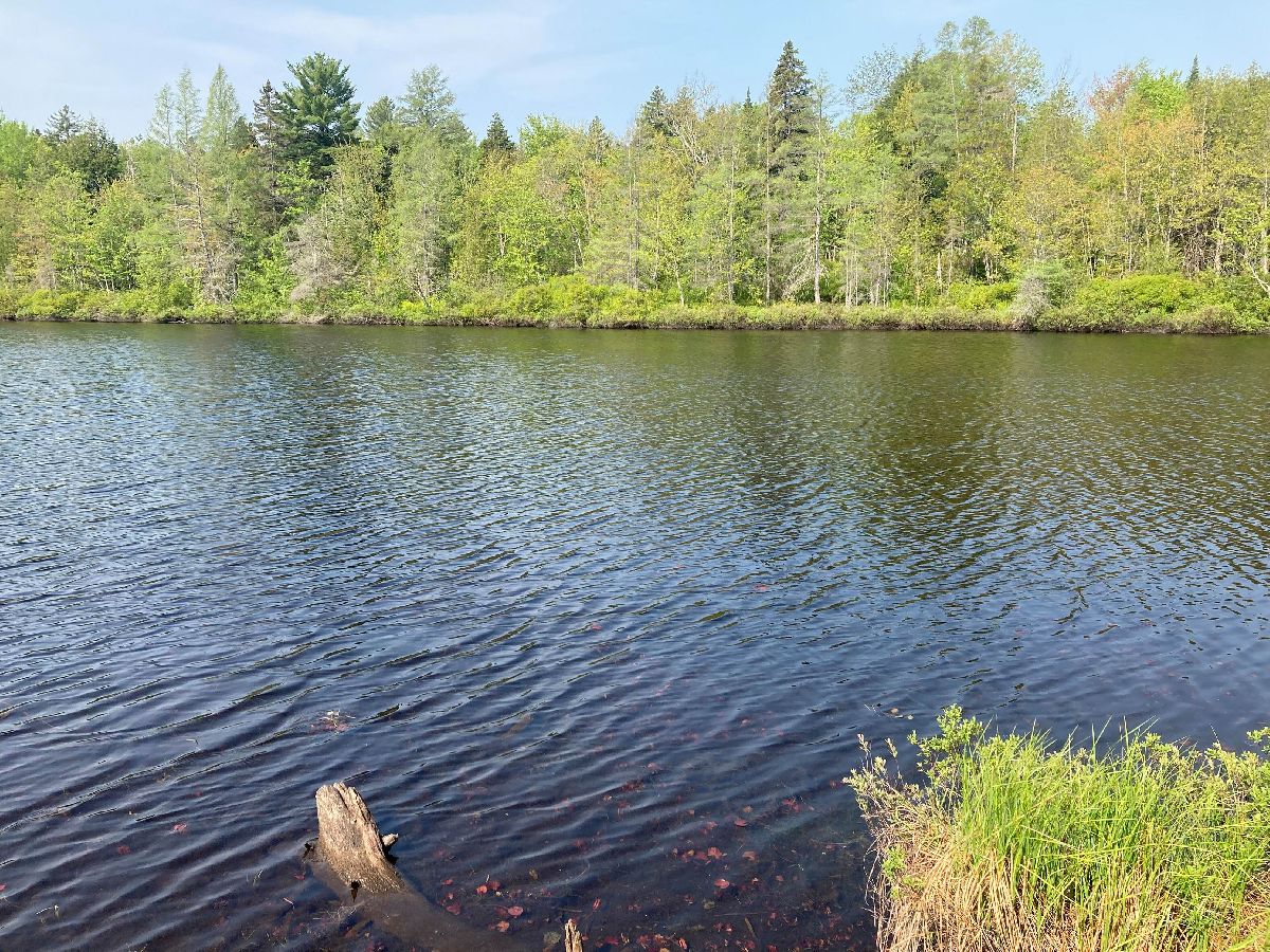 Au Bois des rables - 90 Lots St-Alphonse-Rodriguez