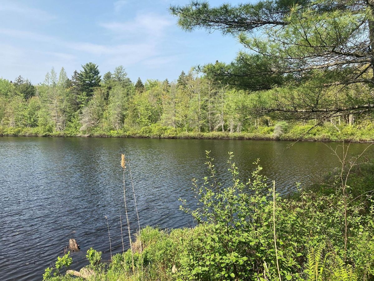 Au Bois des rables - 90 Lots St-Alphonse-Rodriguez