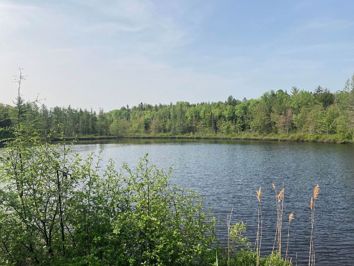 Au Bois des rables - 90 Lots St-Alphonse-Rodriguez