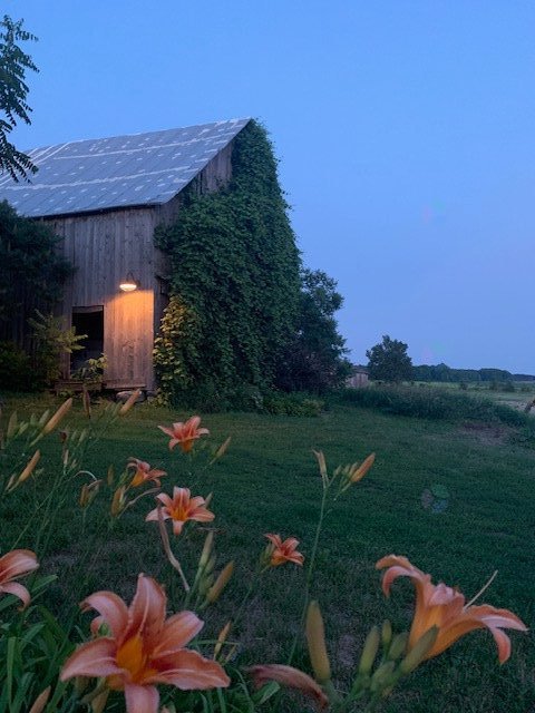 67-acre agricultural land for sale in Mirabel